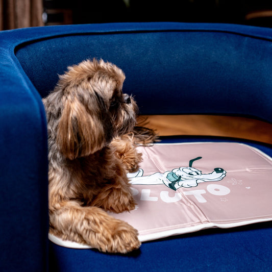 Disney Pluto Cool Pet Pad